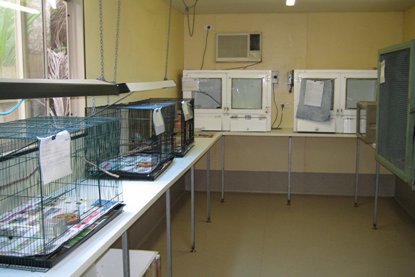 Facilities at the Tropical Rehabilitation Centre at Wildlife Habitat Port Douglas