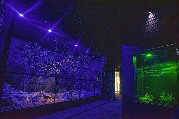 An area in the Nocturnal Habitat at Wildlife Habitat Port Douglas