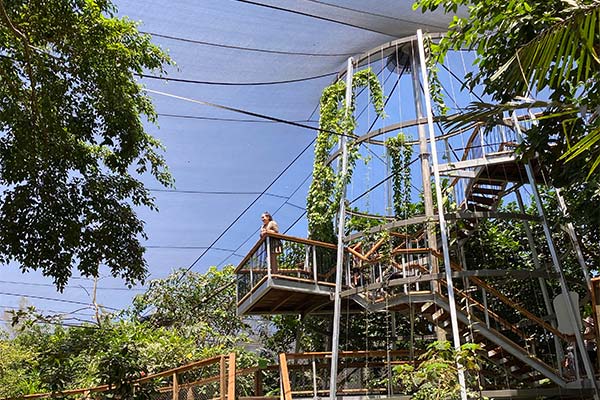 A guest taking in the view form up high in the Rainforest Habitat at Wildlife Habitat Port Douglas