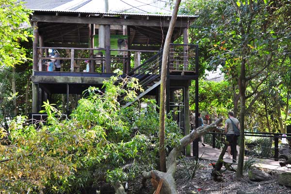 The Stork Tower in Wetlands Habitat at Wildlife Habitat Port Douglas