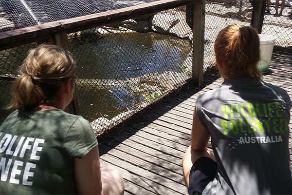 Two volunteers watching a crocodile at Wildlife Habitat port Douglas