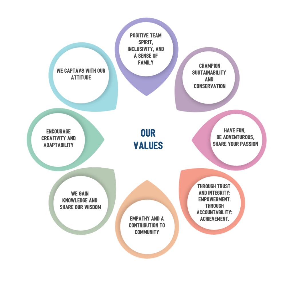The CaPTA Group Values diagram