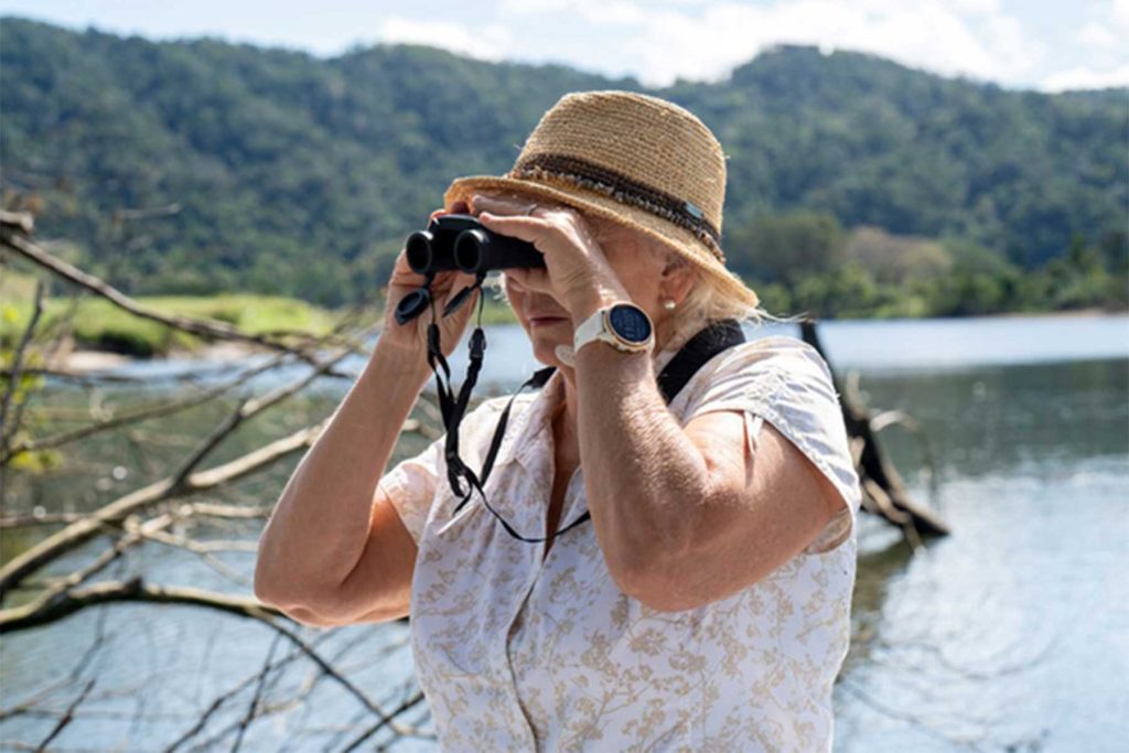 Birdwatching on the Daintree