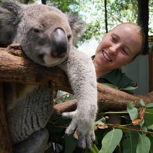 Wildlife-Habitat-Equal-Opportunities