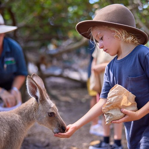 Wildlife-Habitat-High-Quality-Expereince